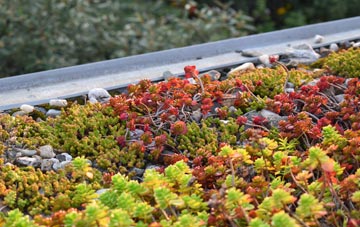 the cost of Daviot green roof installation