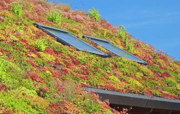 Daviot living roof systems