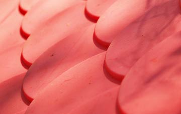 Daviot plastic roof costs