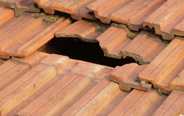 roof repair Daviot