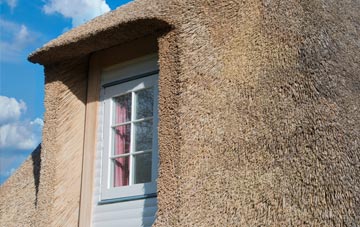 Daviot thatch roof disadvantages